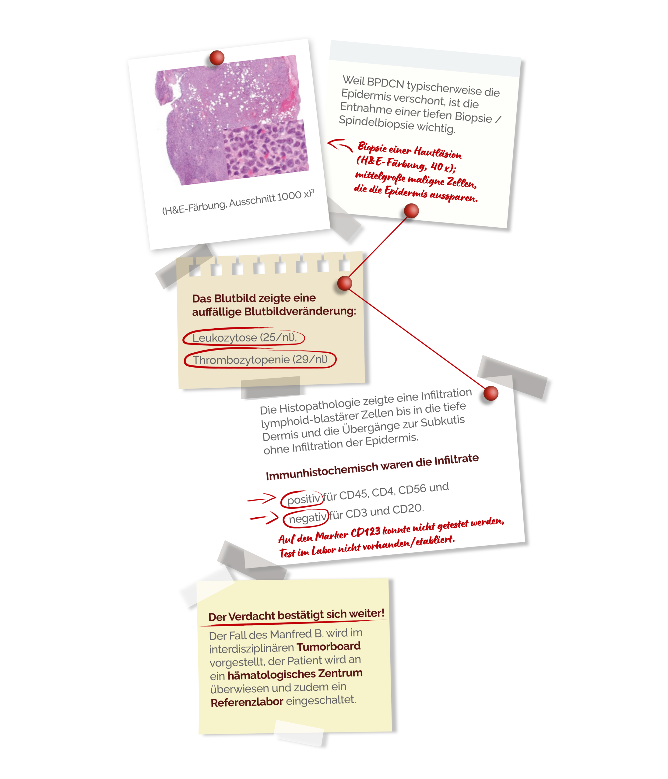 HISTOPATHOLOGIE & ERSTES BLUTBILD