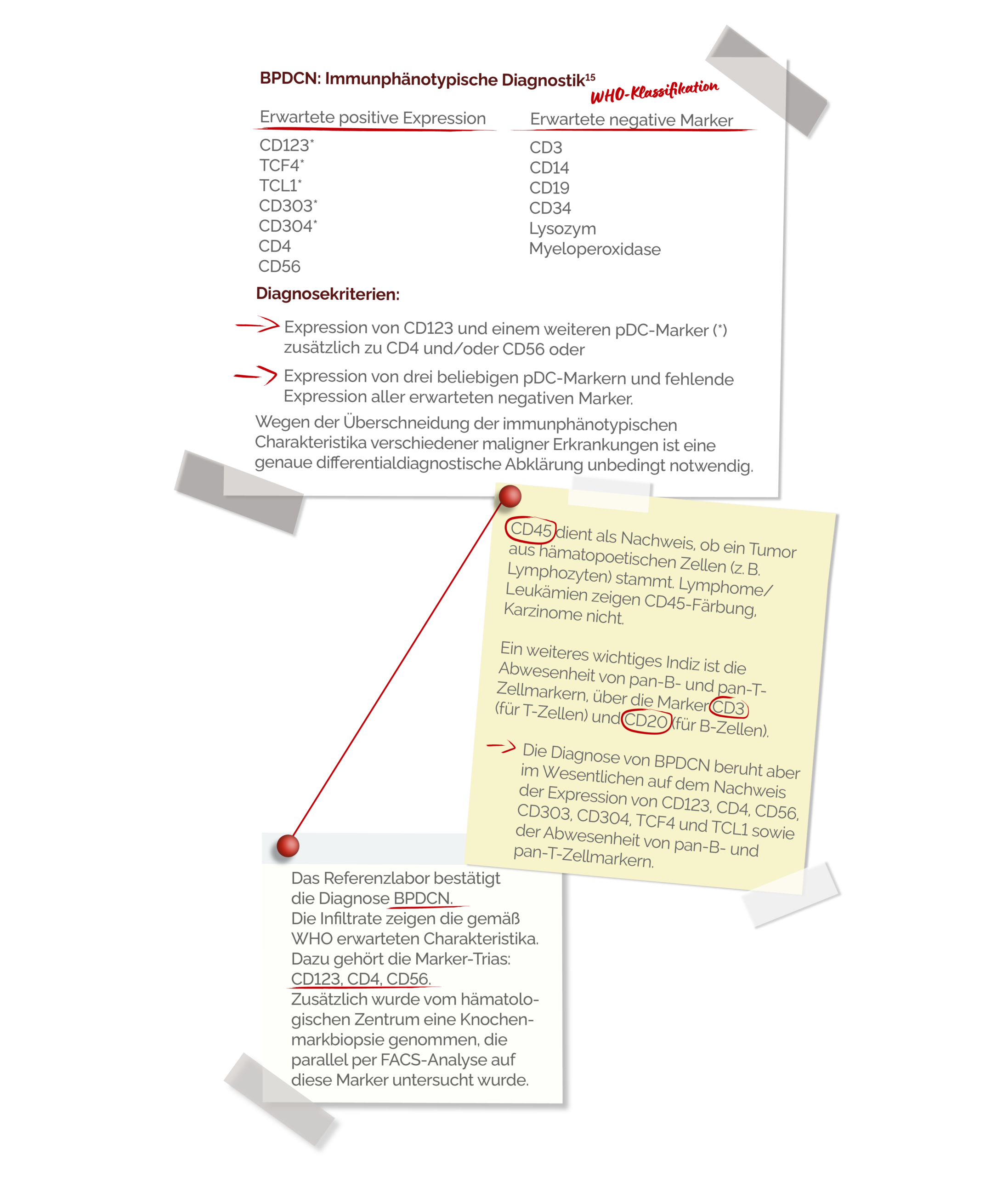 REFERENZLABOR UND DIAGNOSE