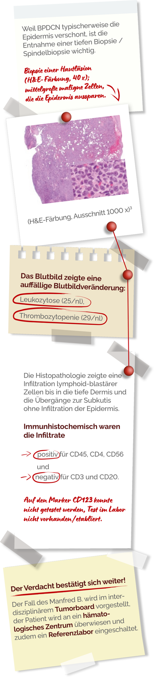 HISTOPATHOLOGIE & ERSTES BLUTBILD